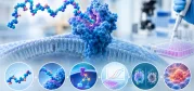 Probing Biology with Peptides: From Target Validation to Mechanistic Insight