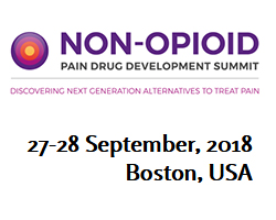 Non Opioid Pain Drug Development Summit