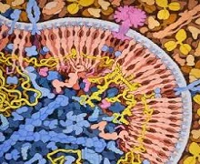 Virus Genomics, Evolution and Bioinformatics 2026