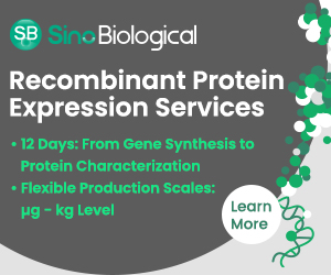 Sino Biological - Custom Recombinant Protein Expression Services