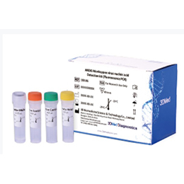 ANDiS Monkeypox virus nucleic acid Detection kit
