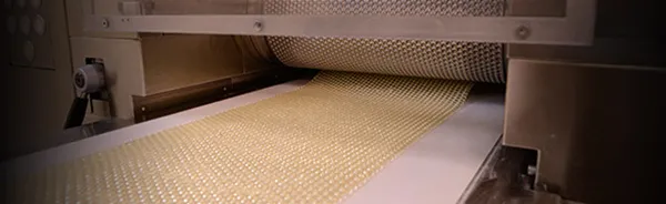 HOT MELT EXTRUSION