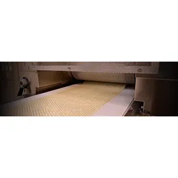 HOT MELT EXTRUSION