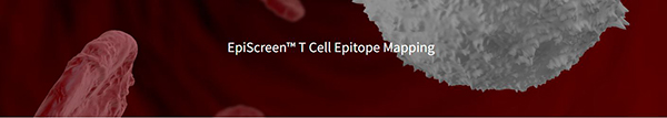 EpiScreen™ – T cell epitope mapping