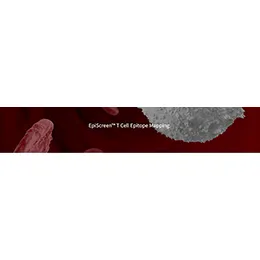 EpiScreen™ – T cell epitope mapping
