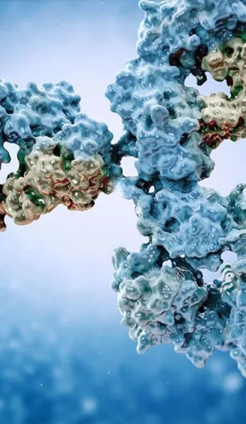 Bioconjugate Development