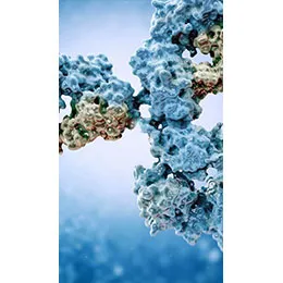 Bioconjugate Development