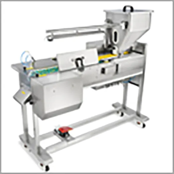 Tablet & Capsule Inspection System Standard