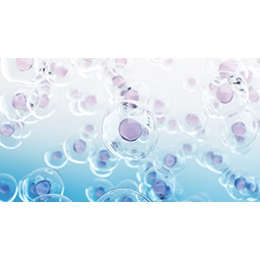 Cell Culture Ingredients