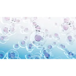 Cell Culture Ingredients