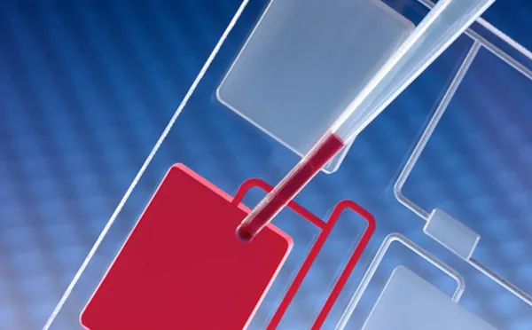 Hydrophilic Adhesives and Coatings