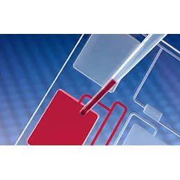 Hydrophilic Adhesives and Coatings