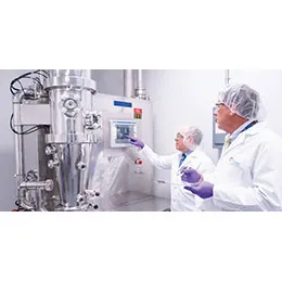 Formulation Development
