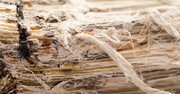 Asbestos testing