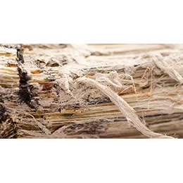 Asbestos testing
