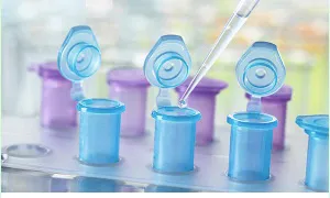 Repeat dose toxicity testing