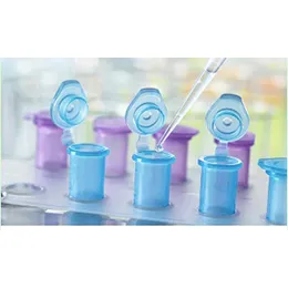 Repeat dose toxicity testing