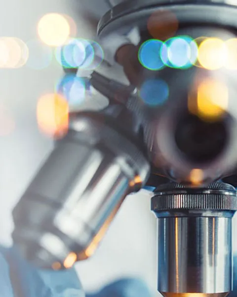 PRECLINICAL SERVICES