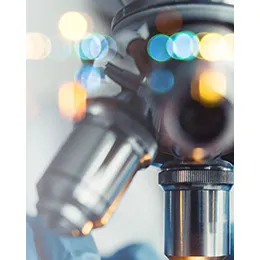 PRECLINICAL SERVICES