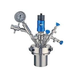 High Pressure Stirred Reactors