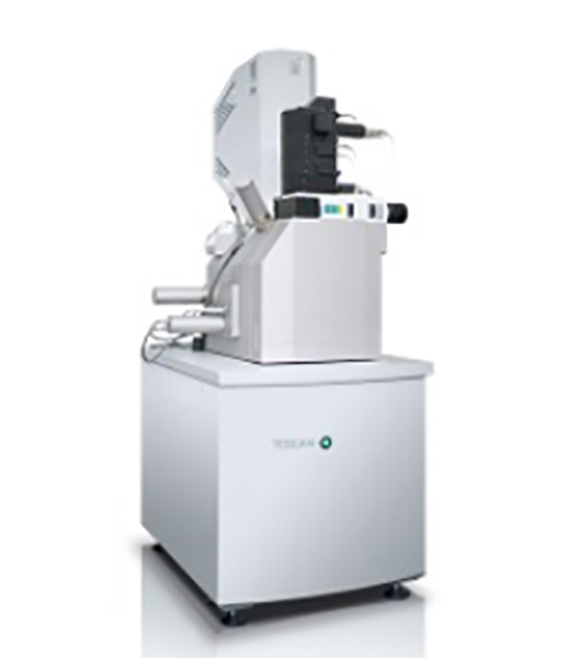 RISE Microscopy Correlative Raman Imaging and Scanning Electron Microscopy