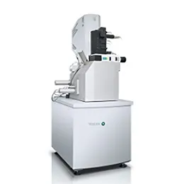 RISE Microscopy Correlative Raman Imaging and Scanning Electron Microscopy