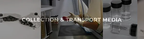 COLLECTION AND TRANSPORT MEDIA