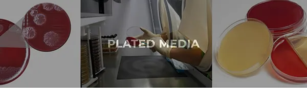 PLATED MEDIA