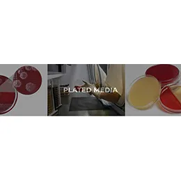 PLATED MEDIA