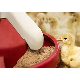 Veterinary feed pre-mixes