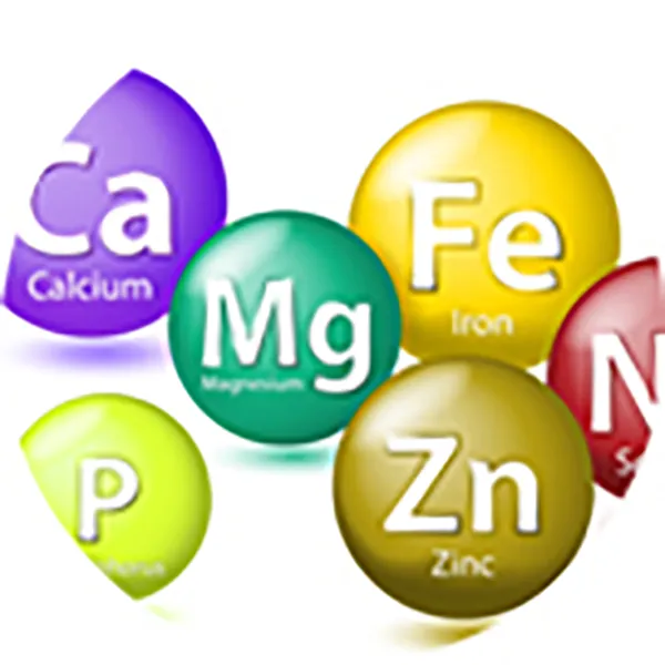 Elemental Analysis