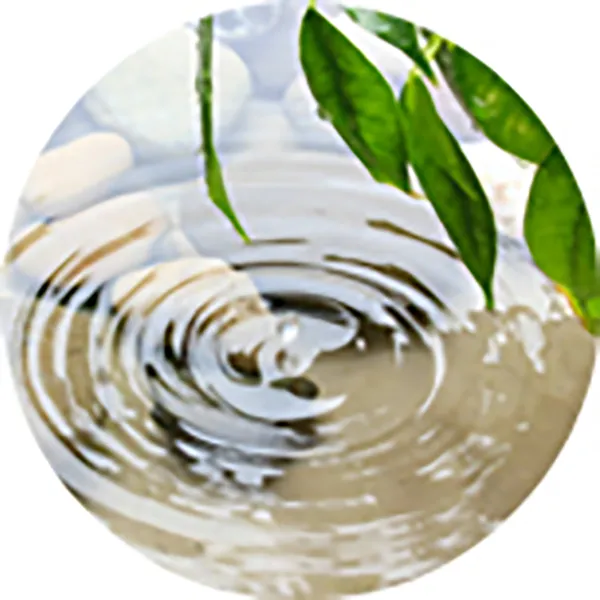 Water & Electrochemistry