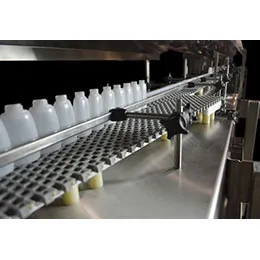 Table Top Chain Conveyor