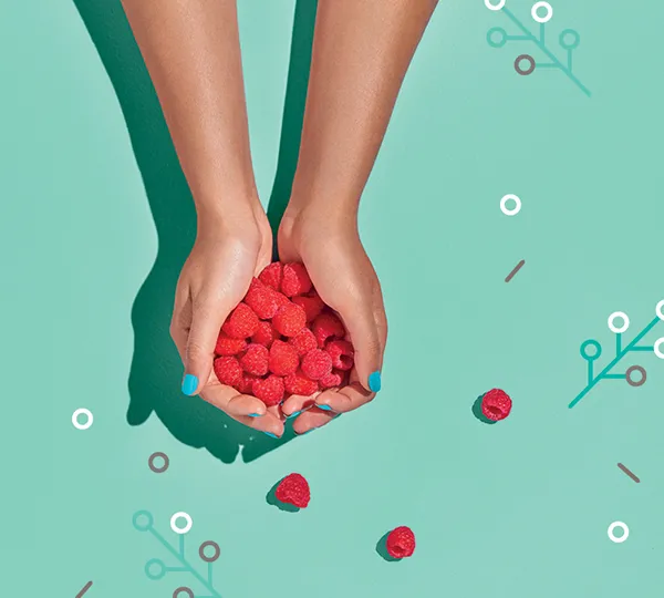 Phyteq raspberry multifunctional