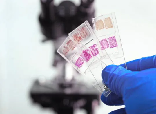 Anatomic Pathology