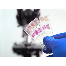 Anatomic Pathology