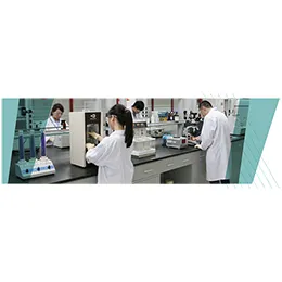 Preformulation