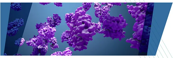 Enzymes