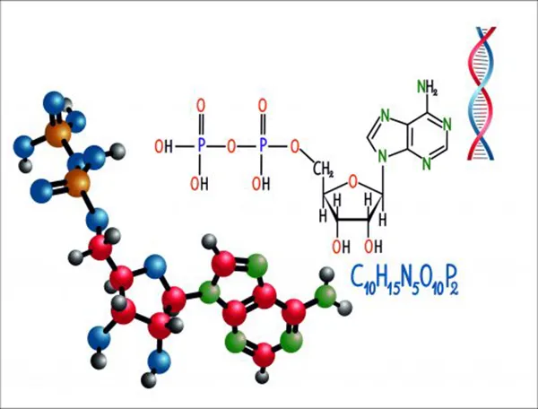 Nitrosamine