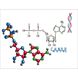 Nitrosamine