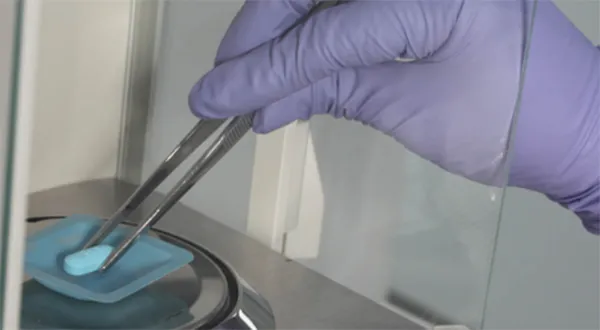 Solid Dose Manufacturing