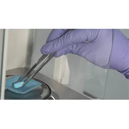 Solid Dose Manufacturing