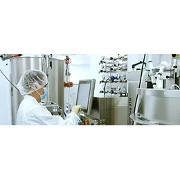 Viral Vector