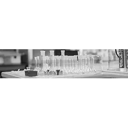 Avivia Analytical Research & Development Services