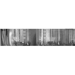 Avivia Dissolution Testing Services