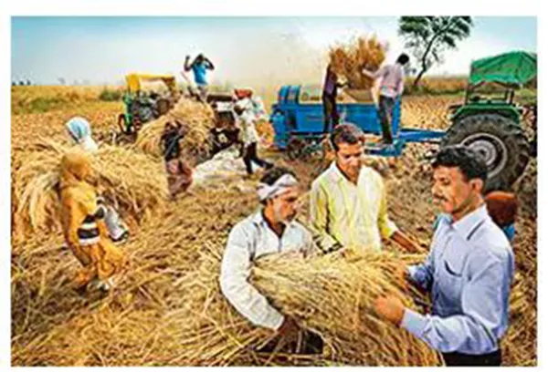Crop Science
