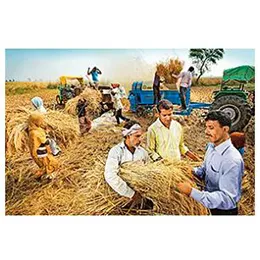 Crop Science
