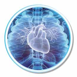 Cardiovascular Device Coatings