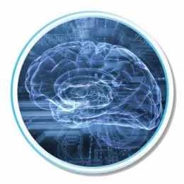 Neurovascular Device Coatings