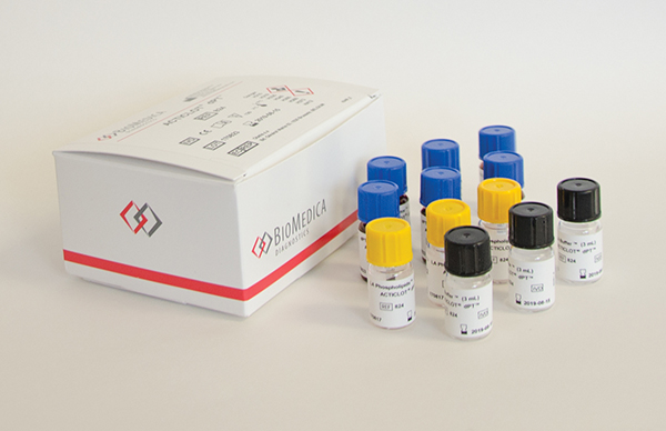 ACTICLOT® dPT™ Dilute Prothrombin Time Test REF 824 IVD